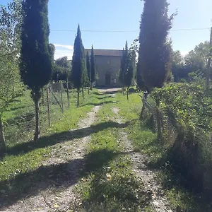https://villa-olivieri.it-tuscanyhotel.com